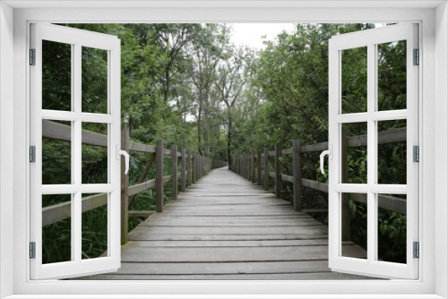 Fototapeta Naklejka Na Ścianę Okno 3D - Wooden Walkway through the forest