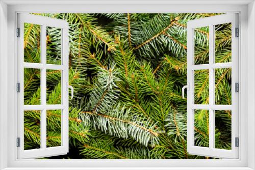 Fototapeta Naklejka Na Ścianę Okno 3D - Christmas pine tree background