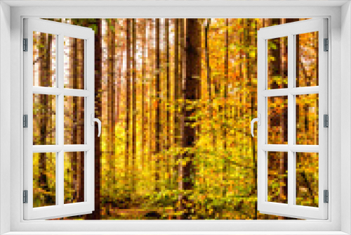 Fototapeta Naklejka Na Ścianę Okno 3D - Oktober Herbstwald II