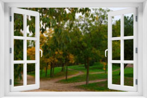Fototapeta Naklejka Na Ścianę Okno 3D - krajobraz drzewa liście park jesień kolory