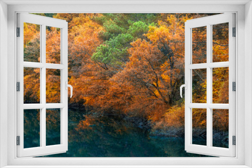 Fototapeta Naklejka Na Ścianę Okno 3D - autumn in the forest, foliage reflected 