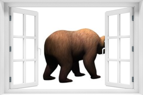 Fototapeta Naklejka Na Ścianę Okno 3D - Wild animals - bear is walking in view from behind - isolated on white background - 3D illustration