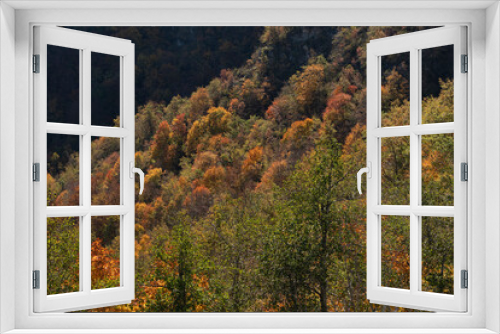 Fototapeta Naklejka Na Ścianę Okno 3D - Autumn colors