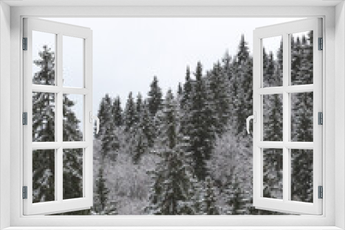 Fototapeta Naklejka Na Ścianę Okno 3D - snow covered trees