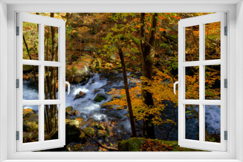 Fototapeta Naklejka Na Ścianę Okno 3D - 紅葉した森の中の渓流を見下ろす