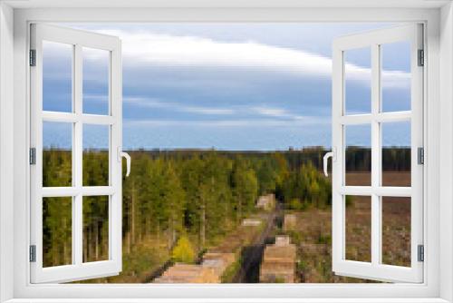 Fototapeta Naklejka Na Ścianę Okno 3D - Baumsterben Harz gerodete Waldflächen
