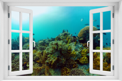 Fototapeta Naklejka Na Ścianę Okno 3D - Coral reef underwater with fishes and marine life. Coral reef and tropical fish.