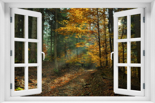 Fototapeta Naklejka Na Ścianę Okno 3D - Promienie jesieni 