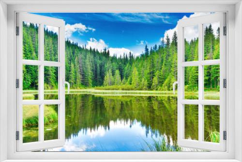 Fototapeta Naklejka Na Ścianę Okno 3D - Forest lake with blue water and green pine forest trees