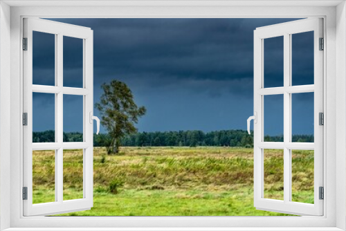 Fototapeta Naklejka Na Ścianę Okno 3D - Dramatic view of a shelf cloud over a field, horizontal cloud formation, panorama view.