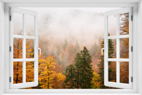 Fototapeta Naklejka Na Ścianę Okno 3D - autumn forest in the fog