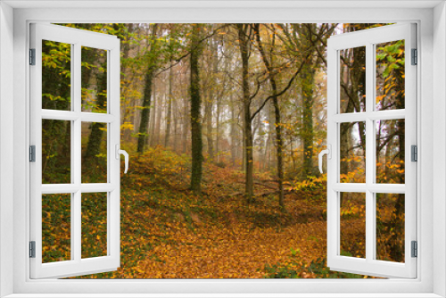 Fototapeta Naklejka Na Ścianę Okno 3D - Herbstwald im Schwarzwald bei Nebelstimmung