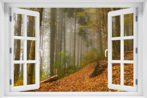 Fototapeta Naklejka Na Ścianę Okno 3D - Herbstwald im Schwarzwald bei Nebelstimmung