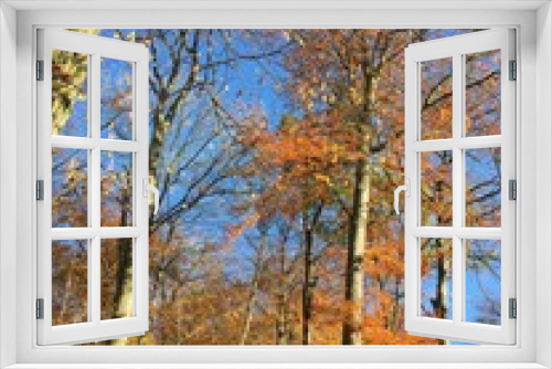 Fototapeta Naklejka Na Ścianę Okno 3D - Autumn Colours
