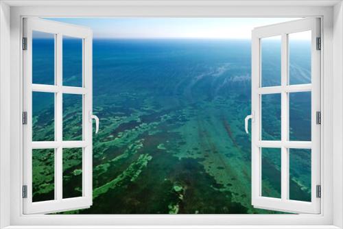 Fototapeta Naklejka Na Ścianę Okno 3D - Tropical Sea Floor around Florida Keys