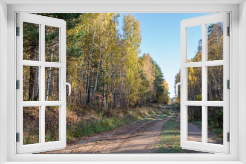 Fototapeta Naklejka Na Ścianę Okno 3D - dirt road going into the distance along a forest clearing on an autumn sunny day