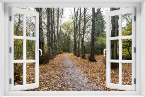 Fototapeta Naklejka Na Ścianę Okno 3D - autumn forest path