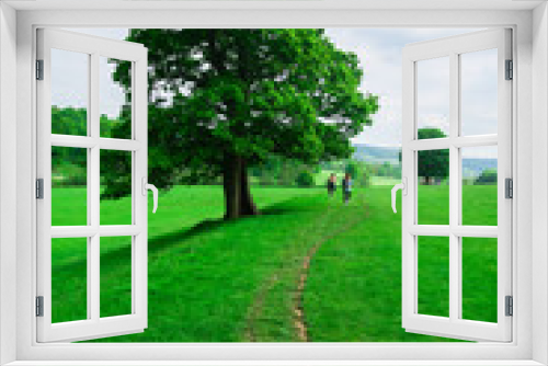 Fototapeta Naklejka Na Ścianę Okno 3D - Large green tree with two people walking on a small path below it on a hilly countryside in the peak district