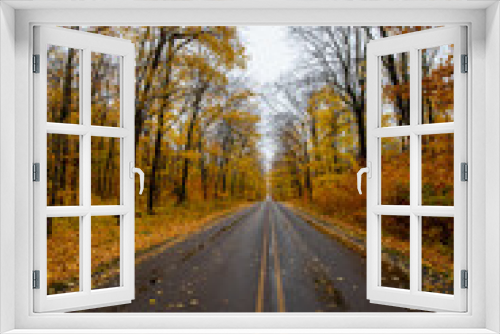 Fototapeta Naklejka Na Ścianę Okno 3D - A road through forest with Autumn yellow leaves at Pictured Rock National Lakeshore in Michigan. Fall colors