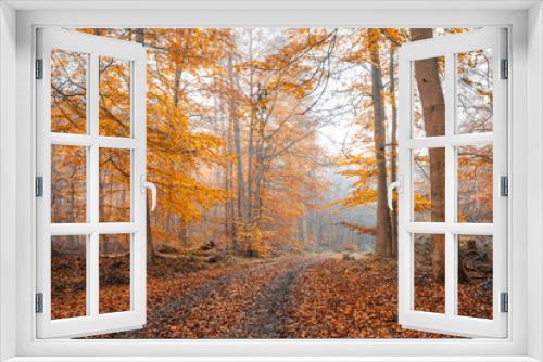 Fototapeta Naklejka Na Ścianę Okno 3D - Foggy Autumn Forest