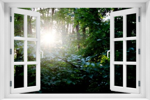Fototapeta Naklejka Na Ścianę Okno 3D - Sonnenwald