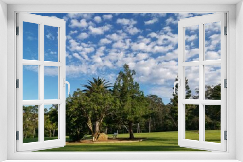Fototapeta Naklejka Na Ścianę Okno 3D - Beautiful view of a park with green grass and tall trees and deep blue sky with light clouds in the background, Heritage park, Castle Hill, Sydney, New South Wales, Australia
