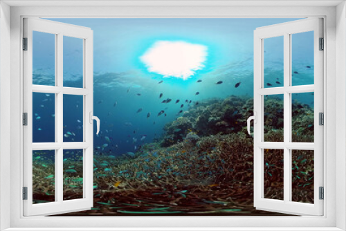 Fototapeta Naklejka Na Ścianę Okno 3D - Coral reef and tropical fishes. The underwater world of the Philippines. Underwater colorful tropical coral reef seascape. 360 panorama VR