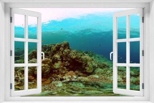 Fototapeta Naklejka Na Ścianę Okno 3D - Tropical coral reef. Underwater fishes and corals. Underwater fish reef marine. Philippines. Virtual Reality 360.