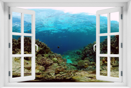 Fototapeta Naklejka Na Ścianę Okno 3D - Tropical Seascape Underwater Life. Tropical underwater sea fish. Philippines. 360 panorama VR
