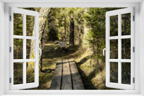 Fototapeta Naklejka Na Ścianę Okno 3D - wooden boardwalk trail in green forest