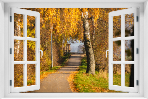 Fototapeta Naklejka Na Ścianę Okno 3D - Herbstlicher Weg