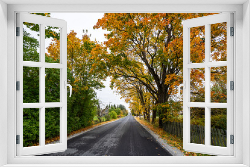 Fototapeta Naklejka Na Ścianę Okno 3D - Autumn landscape with road and beautiful colored trees