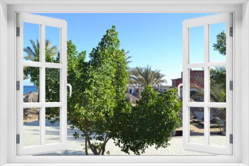 Fototapeta Naklejka Na Ścianę Okno 3D - garden country