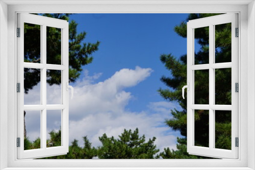 Fototapeta Naklejka Na Ścianę Okno 3D - 青い空と緑の自然
