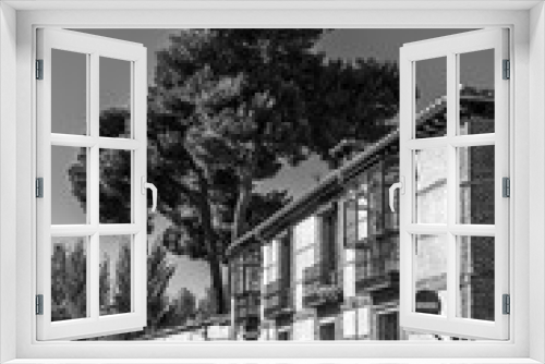 Fototapeta Naklejka Na Ścianę Okno 3D - Typical house in the center of Alcalá de Henares, with a large pine tree in the background. Black and white.
