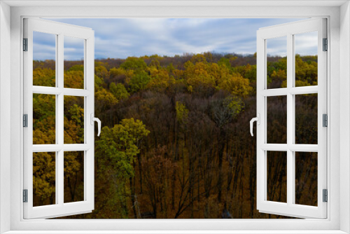 Fototapeta Naklejka Na Ścianę Okno 3D - Aerial view of autumn forest.