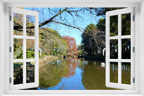 Fototapeta Naklejka Na Ścianę Okno 3D - 穏やかな秋の日　紅葉　風景　公園