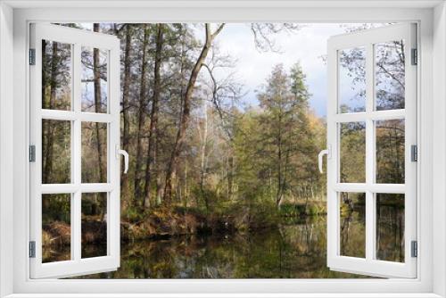 Fototapeta Naklejka Na Ścianę Okno 3D - Herbstliche, sonnige Flusslandschaft im Spreewald