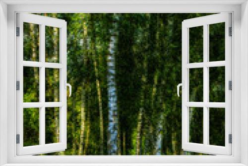 Fototapeta Naklejka Na Ścianę Okno 3D - Abstrakt Birken Bäume Mehrfachbelichtung
