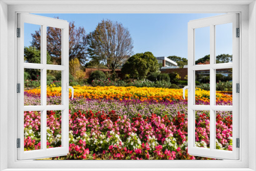 Fototapeta Naklejka Na Ścianę Okno 3D - 福岡市植物園の花壇と温室のある風景