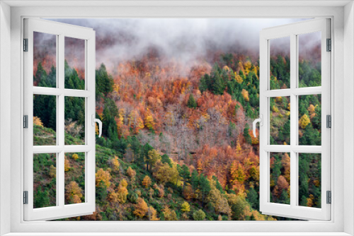 Fototapeta Naklejka Na Ścianę Okno 3D - Beautiful autumn hillside landscape with trees, Manteigas valley, Portugal