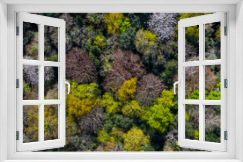 Fototapeta Naklejka Na Ścianę Okno 3D - Springtime, Tarrueza, Laredo, Montaña Oriental Costera, Cantabria, Spain, Europe