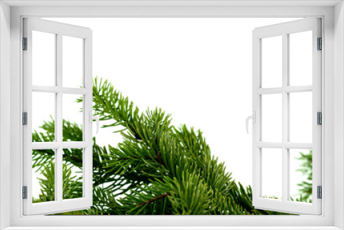 Fototapeta Naklejka Na Ścianę Okno 3D - Pine branch on white background
