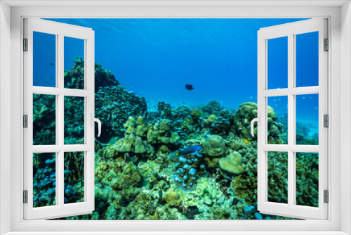 Fototapeta Naklejka Na Ścianę Okno 3D - underwater scene with coral reef and fish.