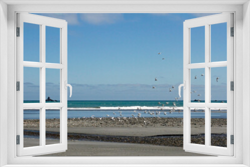 Fototapeta Naklejka Na Ścianę Okno 3D - New Zealand - Pacific coast and sunny beaches
