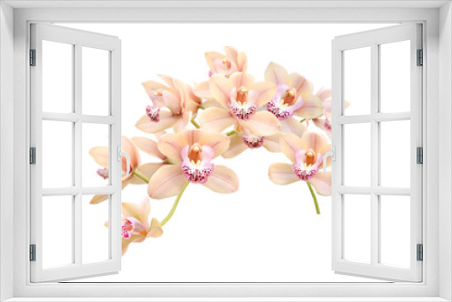 Fototapeta Naklejka Na Ścianę Okno 3D - branch of pink orchid isolated on white background