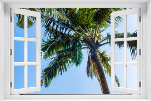 Fototapeta Naklejka Na Ścianę Okno 3D - palm tree with coconuts sways in the wind during sunset