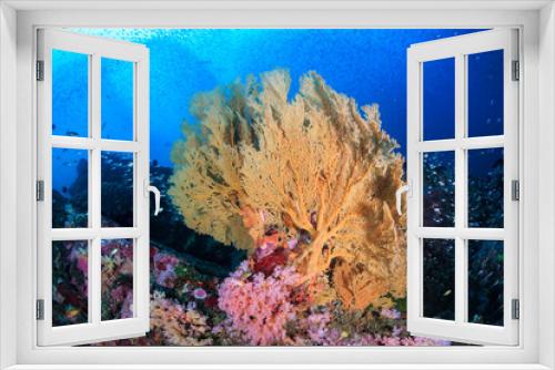 Fototapeta Naklejka Na Ścianę Okno 3D - Colorful tropical fish on a coral reef in Asia