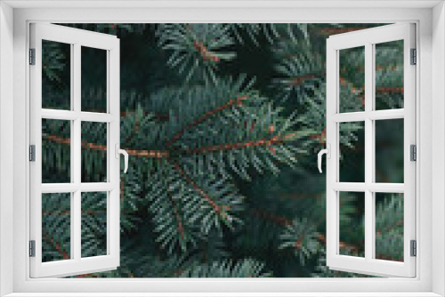 Fototapeta Naklejka Na Ścianę Okno 3D - Fluffy branches of a fir-tree. Christmas wallpaper or postcard concept.