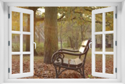 Fototapeta Naklejka Na Ścianę Okno 3D - Samotna ławka w parku jesienną porą roku